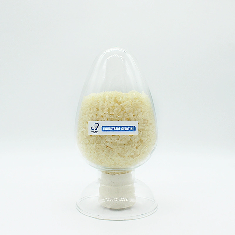 Bulk Food Grade Ingredients Halal Kosher Brand Manufacturers Beef skin bone Gelatin 120 160 -180 bloom